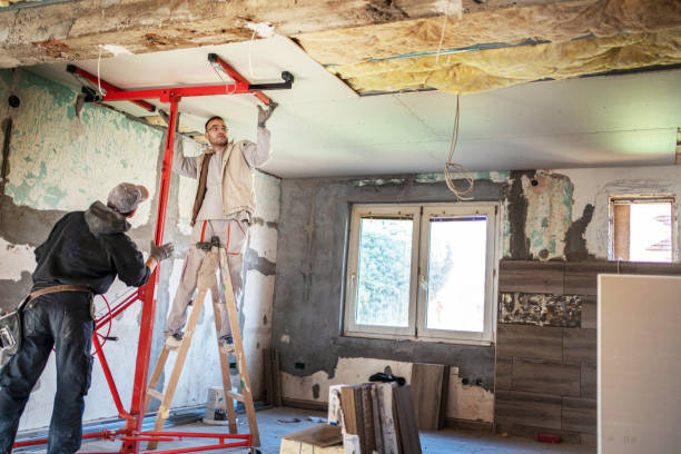 Professional Insulation Contractor in Melissa, TX