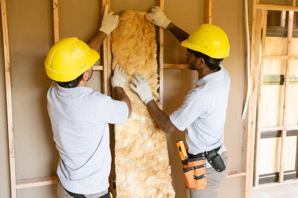 Best Insulation Repair Services  in Melissa, TX